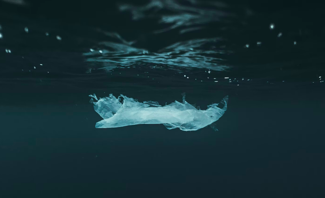 Single-use Plastic Alternatives Distract from Real Solutions